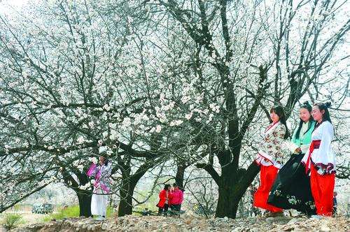 jrs直播 低调看直播 体育赛事